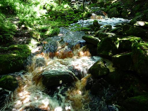 13_05-1.jpg - Stream in Padley Gorge